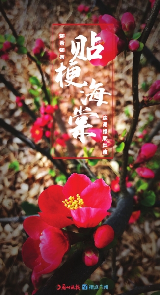 來(lái)，跟這些美美的花朵認(rèn)識(shí)一下！