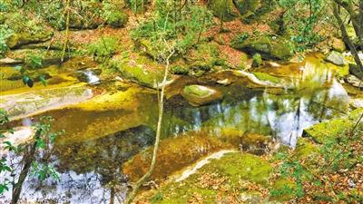 甘肅旅游丨八福溝，西秦嶺深處的水韻秘境