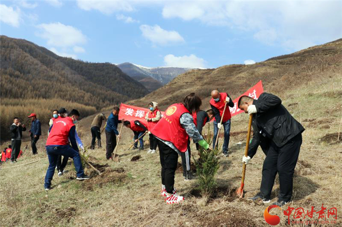 蘭州市兩山指揮部組織黨員干部赴幫扶村植樹(shù)（圖）