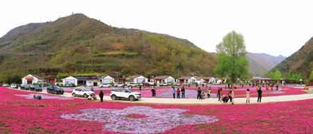 美麗隴南，風景這邊獨好——隴南市推進鄉(xiāng)村旅游高質量發(fā)展綜述