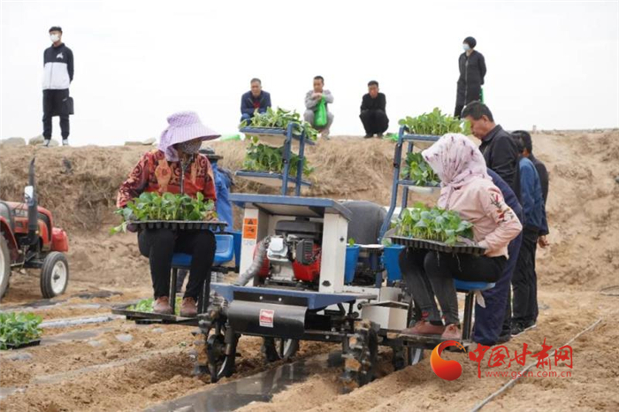 【甘肅省決戰(zhàn)決勝脫貧攻堅】蘭州榆中：推廣機械化種菜 提升高原夏菜供應(yīng)能力