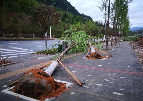 刮風(fēng)下雨加速新冠病毒傳播？別信！
