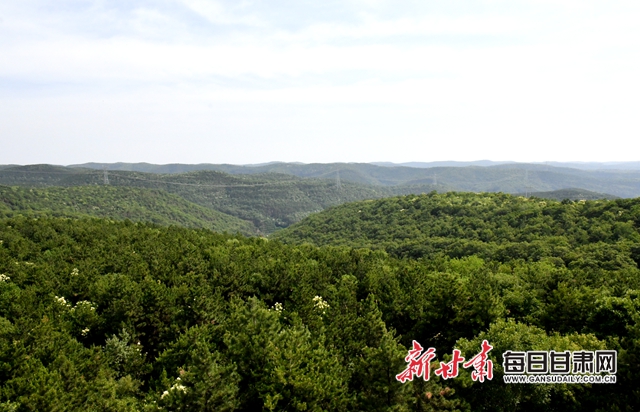 【甘肅生態(tài)環(huán)保媒體行】子午嶺深處，一家三代人用生命守護(hù)黃土高原的“天然生態(tài)屏障”