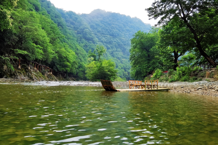 【小隴畫報·95期】康縣：來陽壩，“森”呼吸，我“氧”你