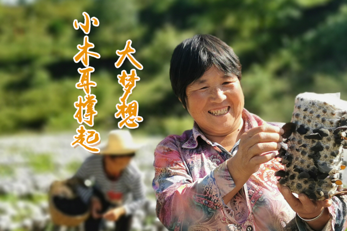 海報(bào)丨他們，乘“豐”破浪！