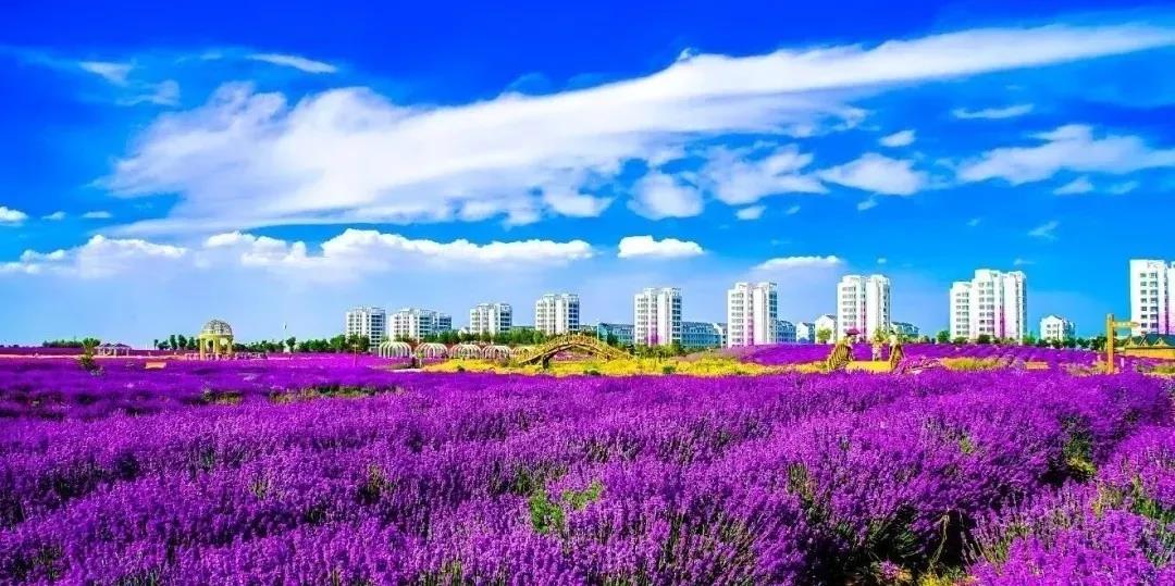 喜訊！金昌蟬聯(lián)全國文明城市