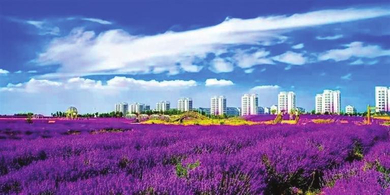 “三連冠”！金昌蟬聯(lián)全國文明城市