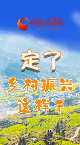圖解|定了！全面推進(jìn)鄉(xiāng)村振興這樣干！