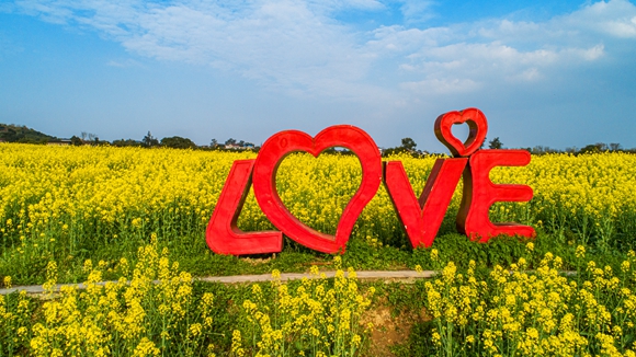 “l(fā)ove”創(chuàng)意拍照墻。廖濤 攝