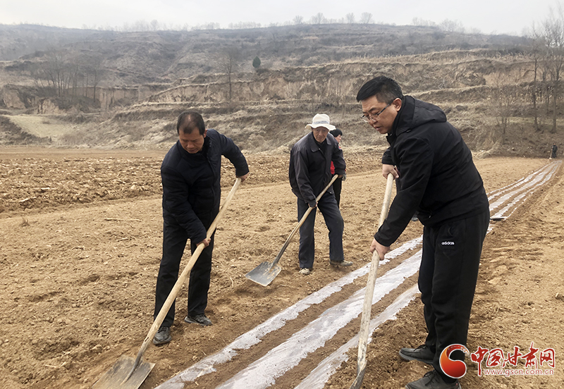 【我的扶貧故事】狠抓產(chǎn)業(yè)促脫貧 盡心幫扶做實事——記靈臺縣百里鎮(zhèn)嚴家溝村黨支部第一書記姚勝文