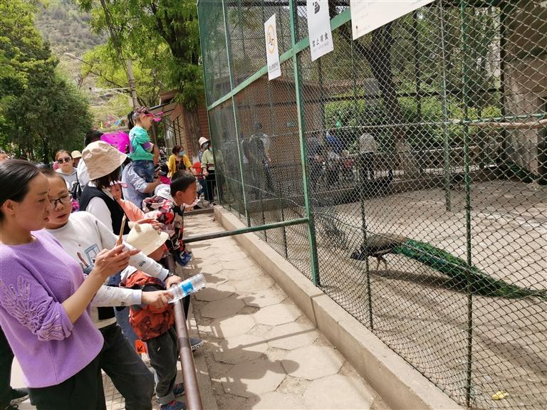 【蘭州動(dòng)物園搬遷】那些年上山找快樂(lè)