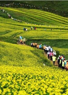 甘肅明確農(nóng)民進城落戶:不以退出承包地、林地等為條件