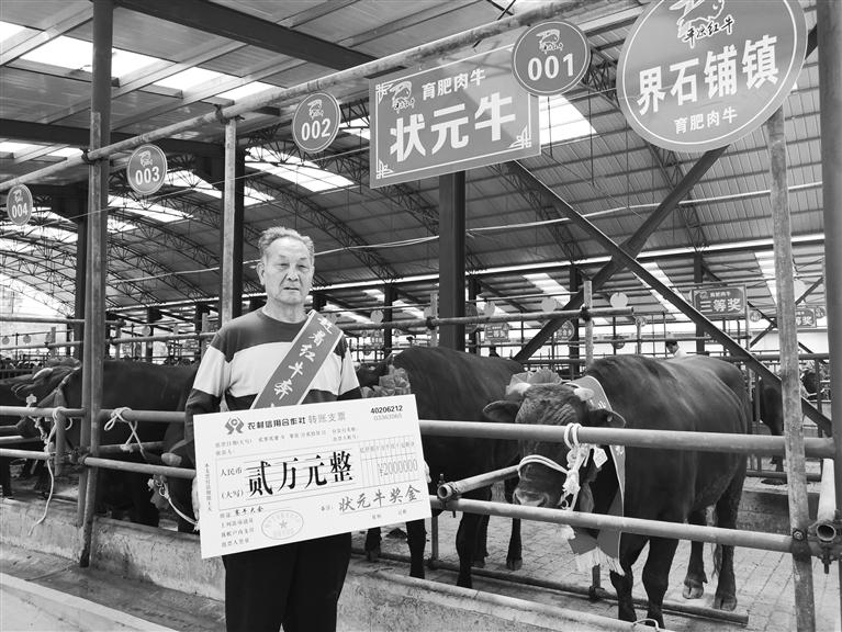 120頭“平?jīng)黾t?！膘o寧爭(zhēng)霸