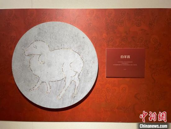 圖為展覽現(xiàn)場(chǎng)?！〗瓧顭?攝