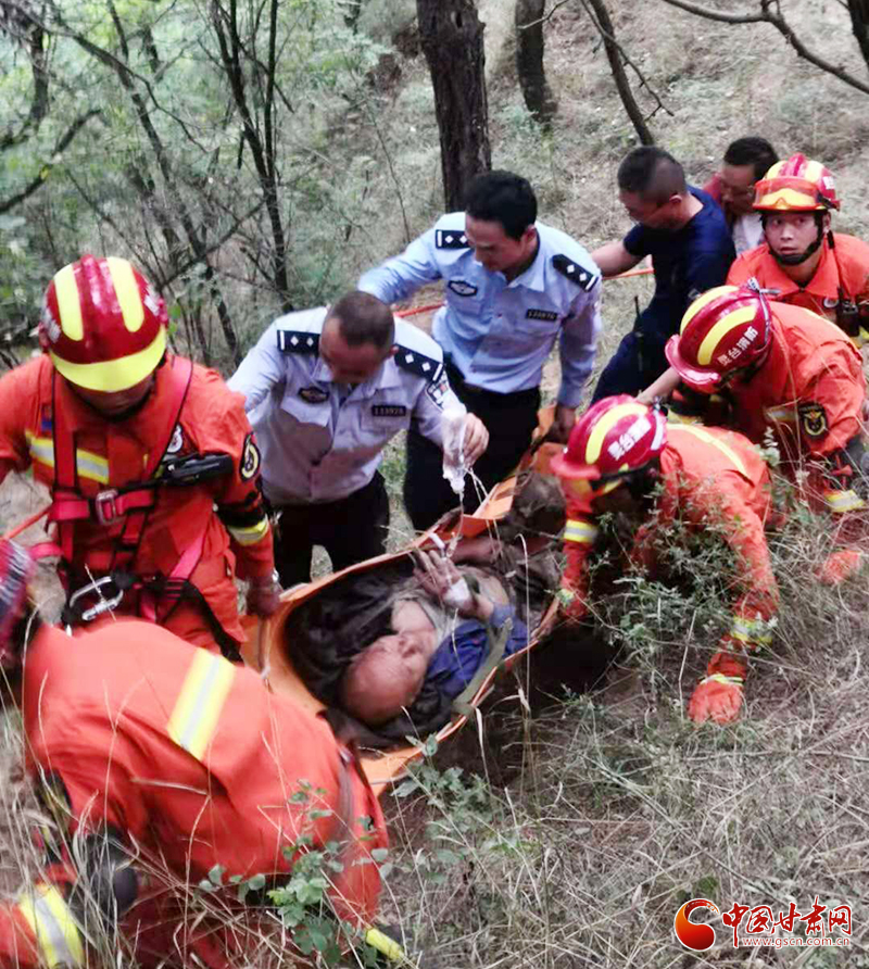 【我為群眾辦實(shí)事】平?jīng)鲮`臺(tái)：六旬老人山林走失 警民攜手成功施救