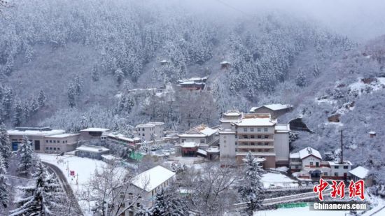 圖為籠罩在雪下的世界。吳永 攝