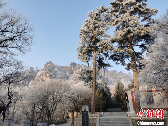 圖為崆峒山霧凇景色美不勝收?！⌒煺袢A 攝