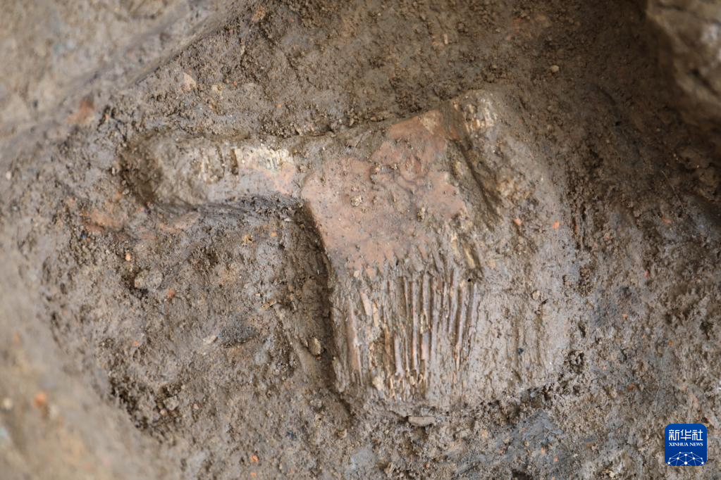 河南南陽(yáng)市黃山新石器時(shí)代遺址出土的屈家?guī)X文化骨梳（資料圖）。