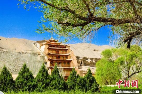 4月的敦煌莫高窟景區(qū)春意盎然。(資料圖) 王斌銀 攝