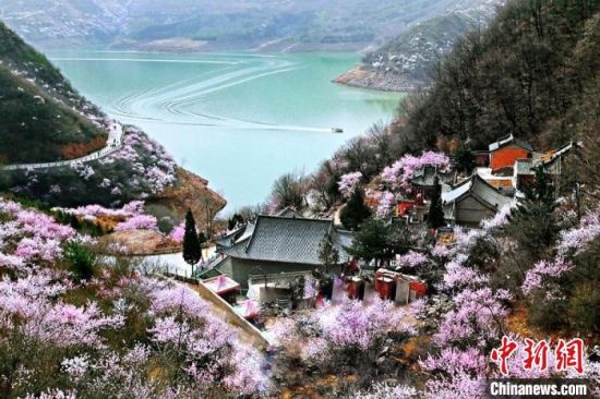 甘肅平?jīng)鍪惺侵袊鴥?yōu)秀旅游城市。圖為平?jīng)鲠轻忌较率锾一ㄊ㈤_。(資料圖) 平?jīng)鍪形麄鞑抗﹫D