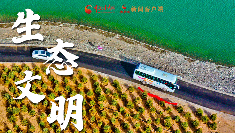 彈幕海報丨熱議甘肅省委十三屆十六次全會 網(wǎng)民聲音在回響！