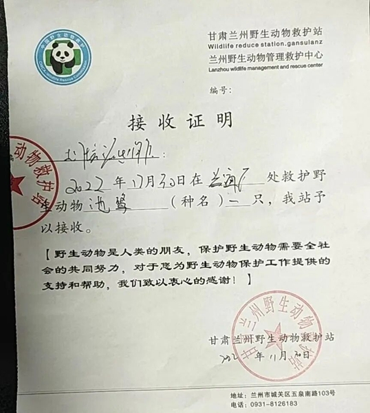 受到救助的池鷺被蘭州野生動物保護站接收。（蘭州市公安局七里河分局供圖）