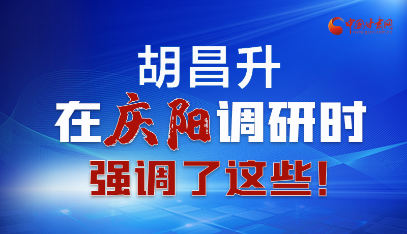 圖解|胡昌升在慶陽調(diào)研時強調(diào)了這些！