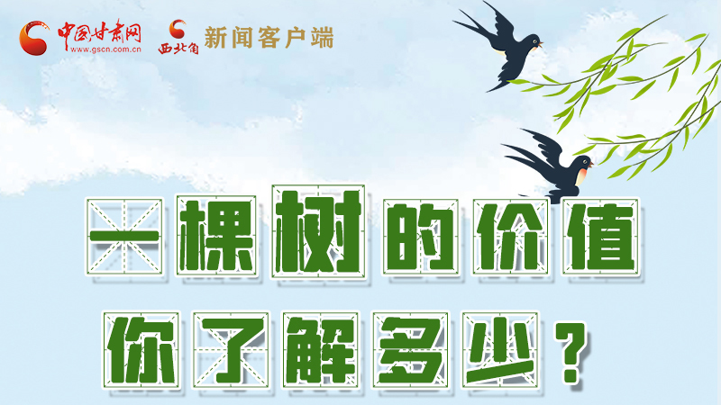 圖解|一棵樹的價(jià)值你了解多少?來看！