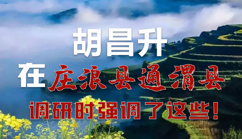 圖解|胡昌升在莊浪縣通渭縣調(diào)研時(shí)強(qiáng)調(diào)了這些！