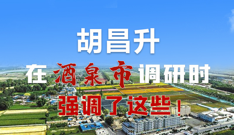圖解|胡昌升在酒泉市調(diào)研時強調(diào)了這些！