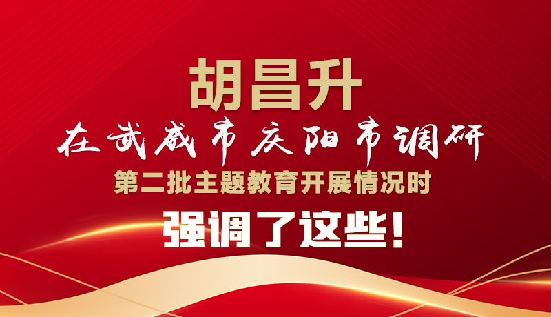 圖解|胡昌升在武威市慶陽市調(diào)研第二批主題教育開展情況時強調(diào)了這些！