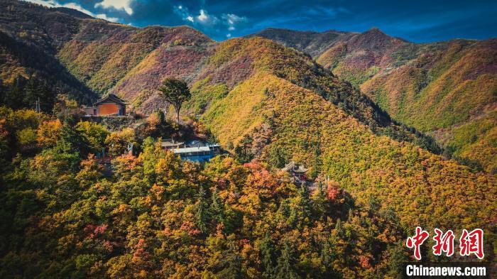 深秋，位于蘭州市榆中縣的興隆山，似打翻調(diào)色板。金峯 攝