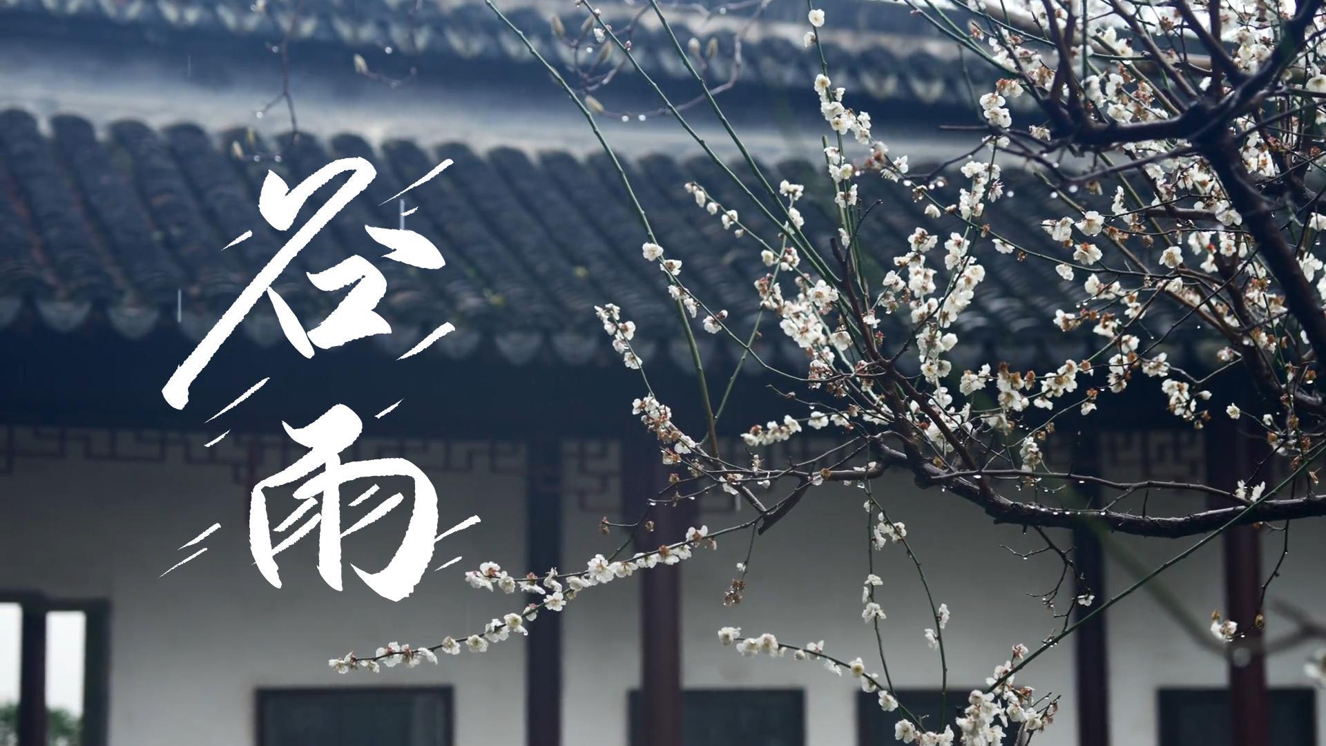 【節(jié)氣里的大美甘肅】谷雨，春天的最后一次回眸