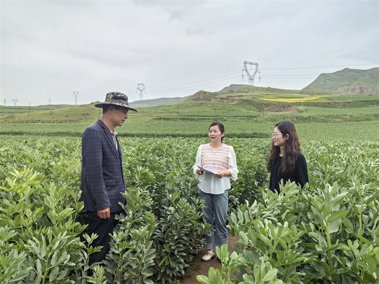 1721898041570263.jpg 圖為古浪縣十八里堡鄉(xiāng)紀(jì)檢監(jiān)察干部在東廟兒溝村大豆種植基地了解產(chǎn)業(yè)獎(jiǎng)補(bǔ)政策落實(shí)情況.jpg