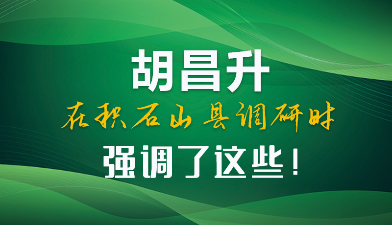 圖解|胡昌升在積石山縣調(diào)研時(shí)強(qiáng)調(diào)了這些！