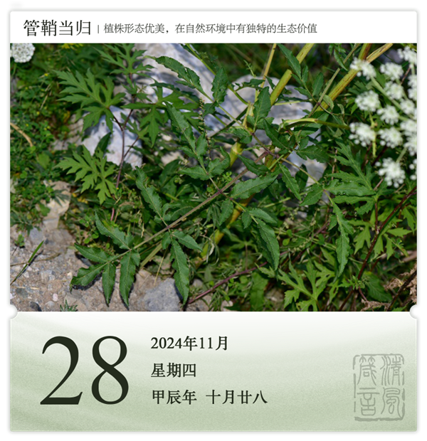 1730190266298617.png 箴歷日歷11-28.png