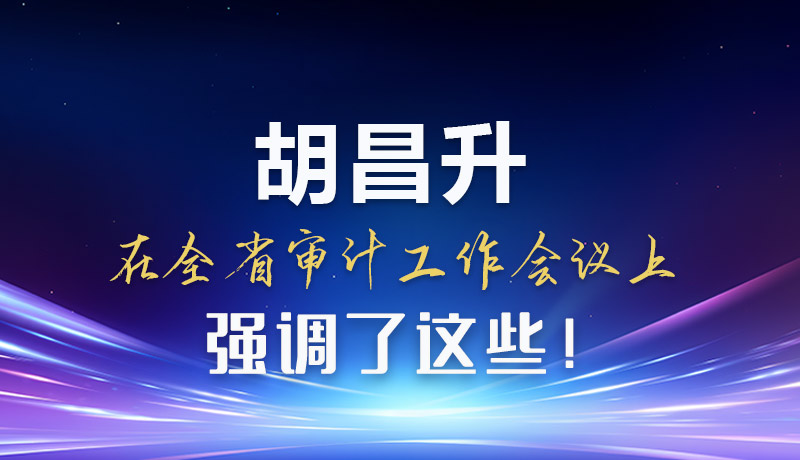 圖解|胡昌升在全省審計(jì)工作會議上強(qiáng)調(diào)了這些！