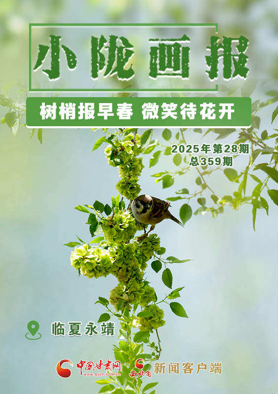 【小隴畫報(bào)·359期】永靖：樹梢報(bào)早春 微笑待花開