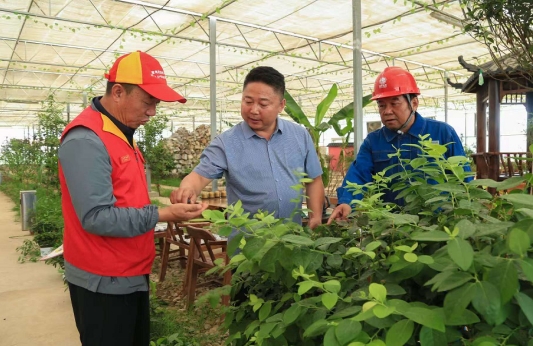 國(guó)網(wǎng)慶陽(yáng)供電公司滿(mǎn)格電護(hù)航“菜籃子”豐收增產(chǎn)