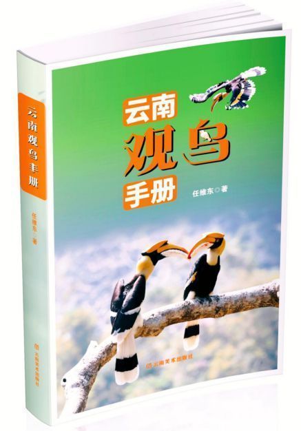 飛鳥的請柬：聽見羽翼劃過彩云之南