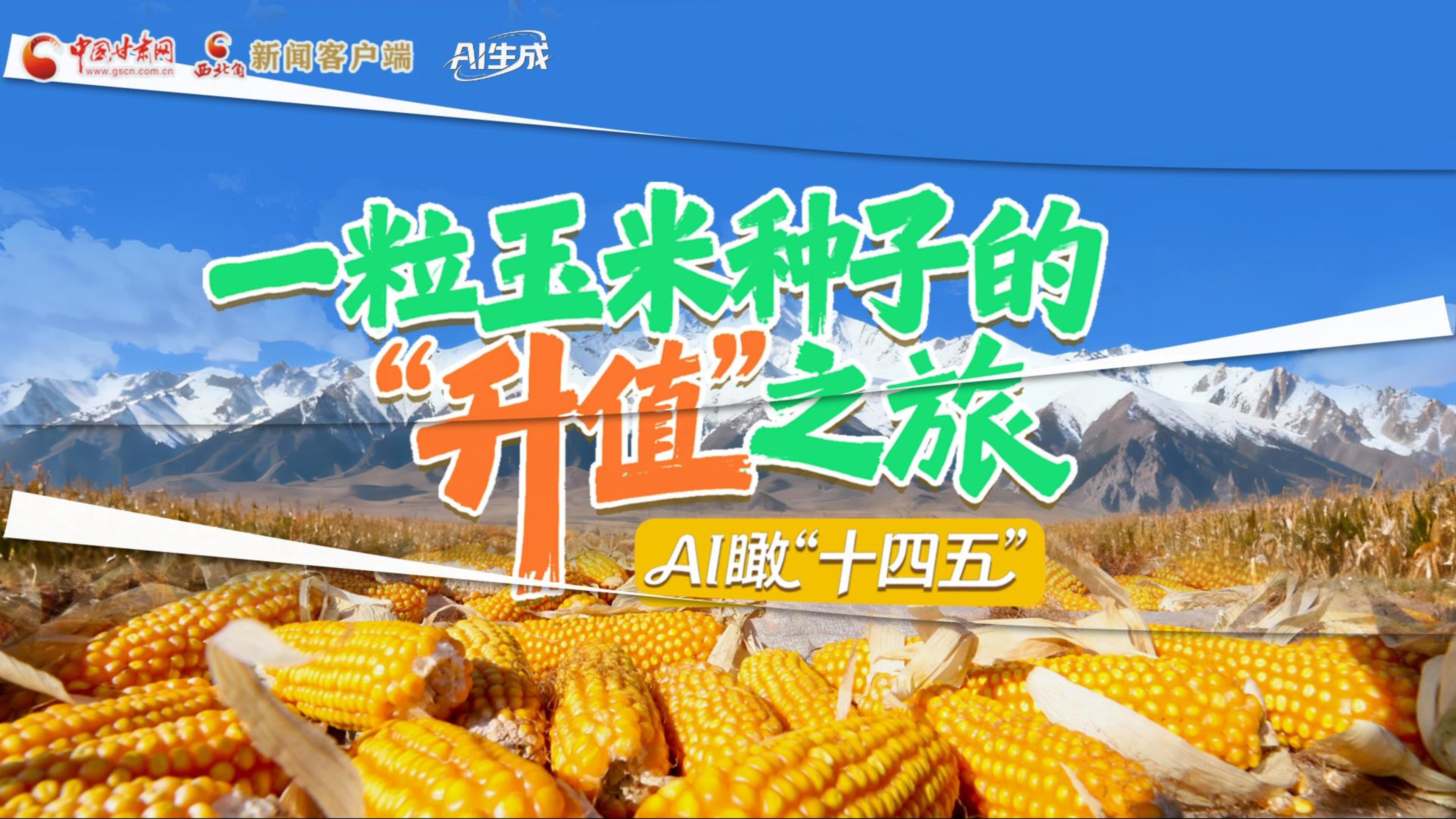 AI瞰甘肅“十四五”|張掖：一粒玉米種子的“升值”之旅